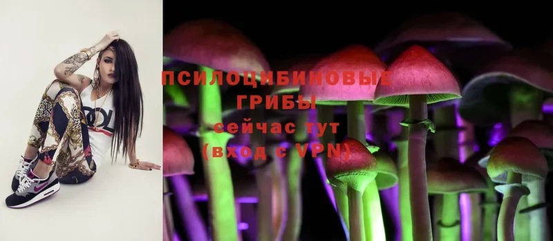 Галлюциногенные грибы Psilocybe  мега ONION  Реутов 